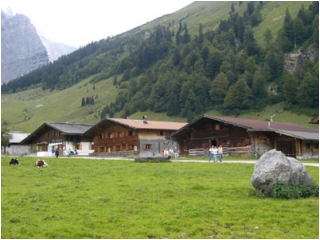 Bayer, núi Alps và món chân giò nướng_4