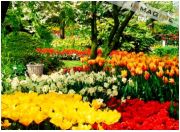 10 quốc gia "cao" nhất thế giới 