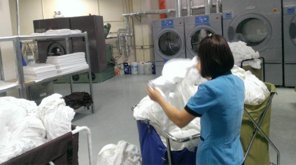 Những công việc tay chân của Du học sinh Việt tại Đức - 1 Những công việc tay chân của Du học sinh Việt tại Đức - 1