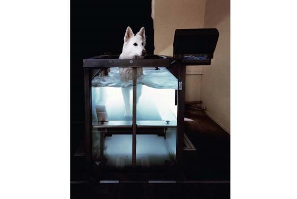 Khám phá những thị trấn spa độc đáo ở Đức - 1 Khám phá những thị trấn spa độc đáo ở Đức - 1