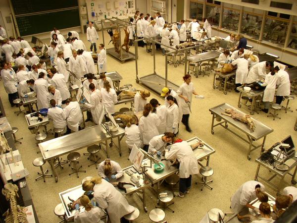 Du học ở những thành phố xinh đẹp ở Đức - 12