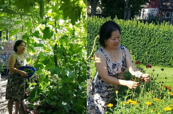 Ngưỡng mộ khu vườn ‘không thiếu thứ gì’ của mẹ Việt ở Đức từng không biết cuốc đất, nhổ cỏ - 0 Ngưỡng mộ khu vườn ‘không thiếu thứ gì’ của mẹ Việt ở Đức từng không biết cuốc đất, nhổ cỏ - 0