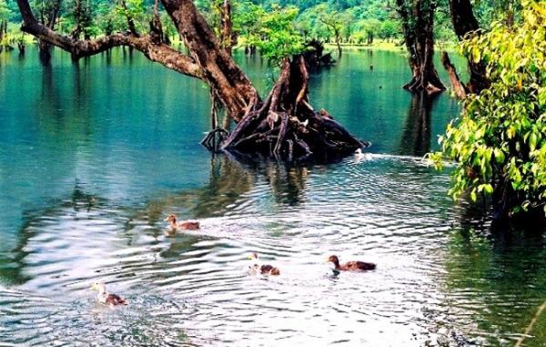 Ghé thăm hòn đảo đẹp nhất nước Đức - 0 Ghé thăm hòn đảo đẹp nhất nước Đức - 0