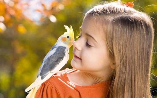 Người Đức “gieo mầm” lương thiện cho trẻ nhỏ như thế nào? - 0 Người Đức “gieo mầm” lương thiện cho trẻ nhỏ như thế nào? - 0