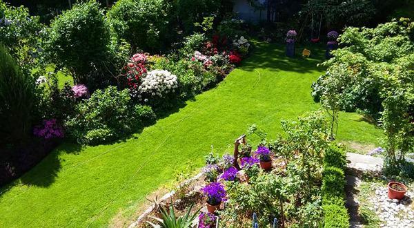 “Chốn thiên đường” 500m² giữa nước Đức của mẹ Việt có ông chồng tâm lý giúp chặt cây, xây vườn - 1 “Chốn thiên đường” 500m² giữa nước Đức của mẹ Việt có ông chồng tâm lý giúp chặt cây, xây vườn - 1