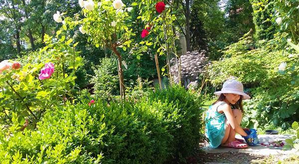 “Chốn thiên đường” 500m² giữa nước Đức của mẹ Việt có ông chồng tâm lý giúp chặt cây, xây vườn - 2 “Chốn thiên đường” 500m² giữa nước Đức của mẹ Việt có ông chồng tâm lý giúp chặt cây, xây vườn - 2