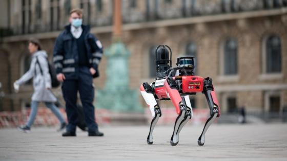 Chó robot gây sốt với kỹ năng tuần tra trên đường phố Đức